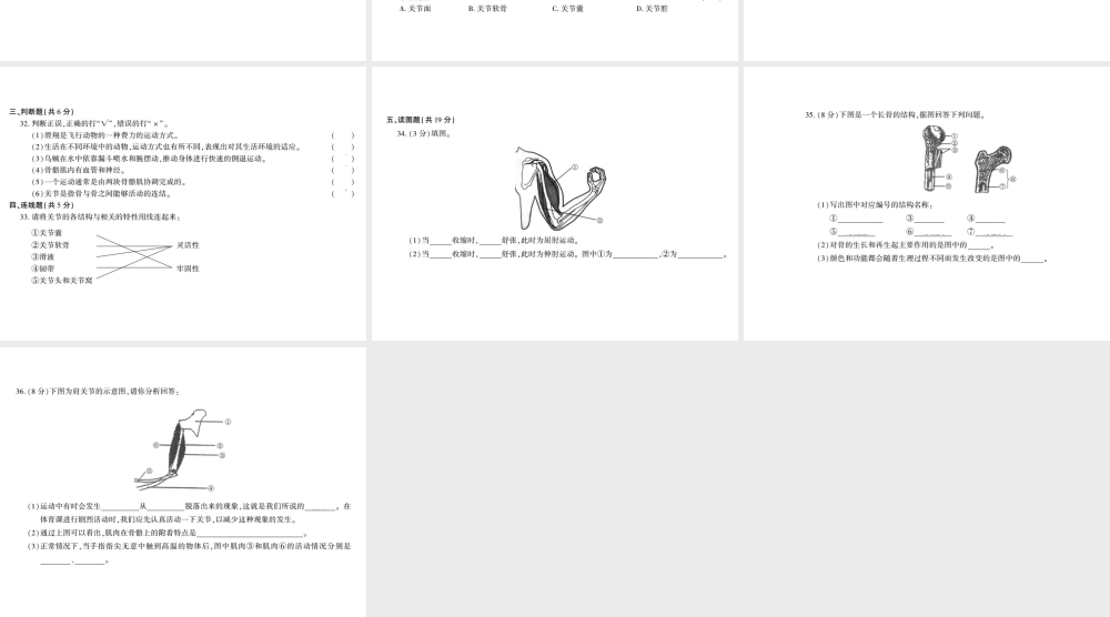 八年级生物上册 第五单元 第15章 动物的运动测评卷课件 （新版）北师大版-（新版）北师大版初中八年级上册生物课件