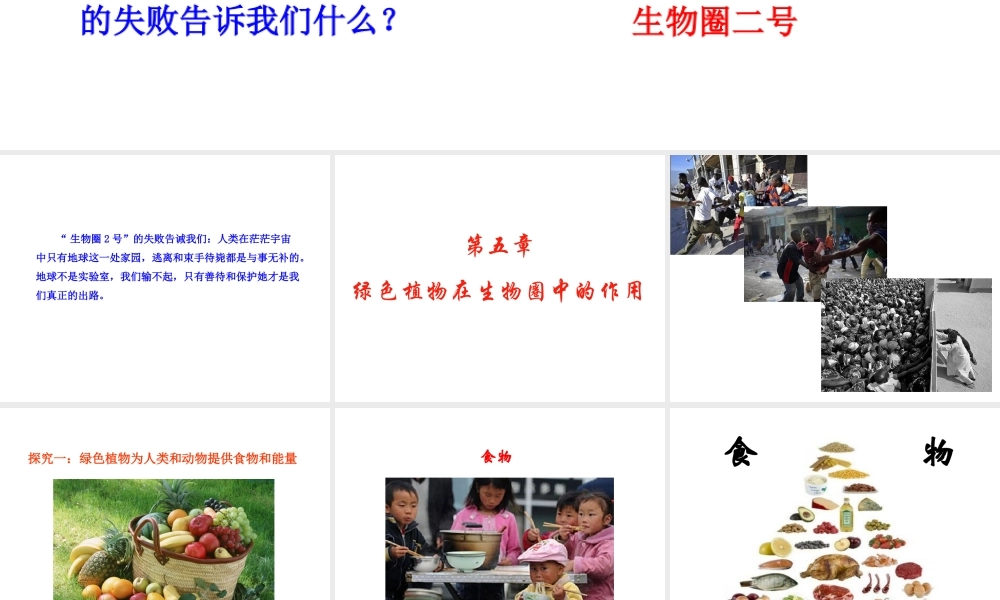 八年级生物上册 第三单元 第五章《绿色植物在生物圈中的作用》课件1 （新版）冀教版-（新版）冀教版初中八年级上册生物课件