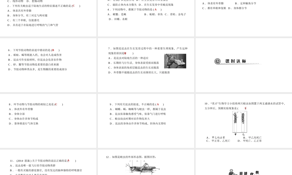 八年级生物上册 第五单元 第一章 第三节 软体动物和节肢动物（第2课时 节肢动物）课件 （新版）新人教版-（新版）新人教级上册生物课件