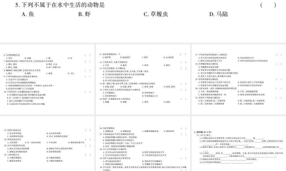 八年级生物上册 第五单元 第15章 动物的运动测评卷课件 （新版）北师大版-（新版）北师大级上册生物课件