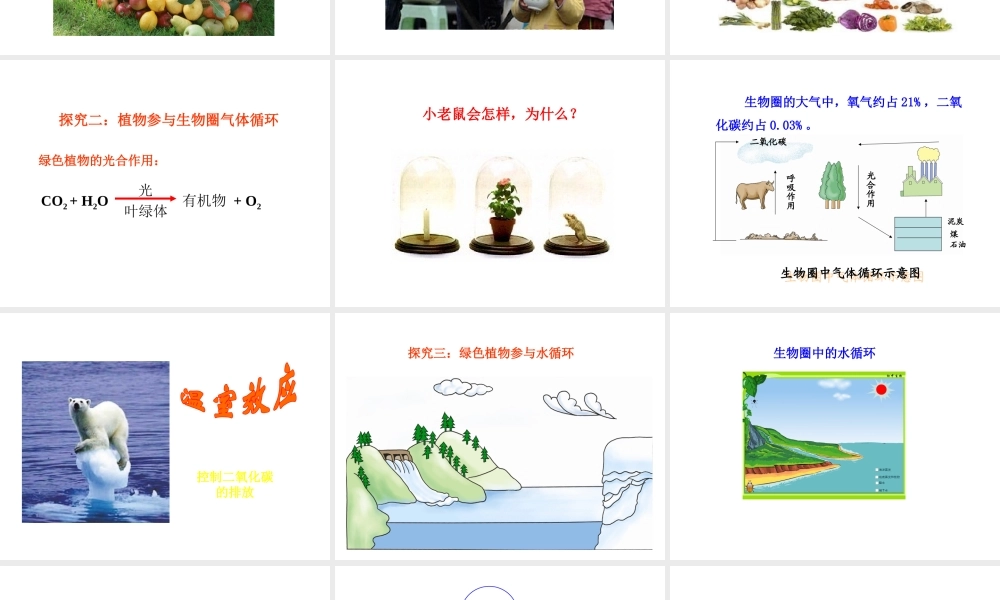 八年级生物上册 第三单元 第五章《绿色植物在生物圈中的作用》课件1 （新版）冀教版-（新版）冀教级上册生物课件