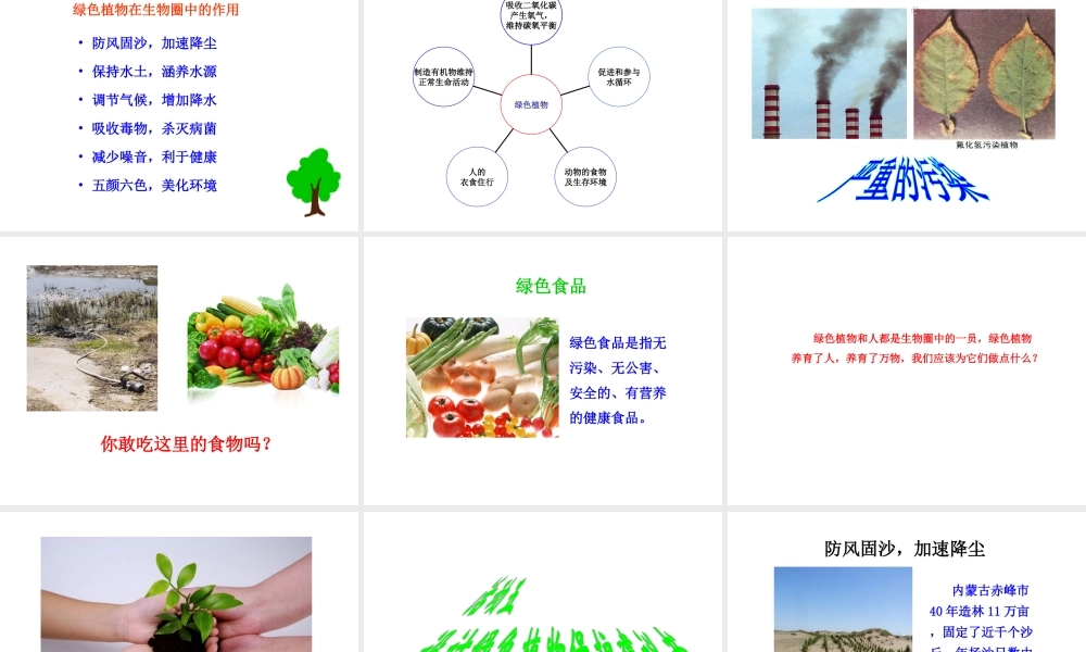 八年级生物上册 第三单元 第五章《绿色植物在生物圈中的作用》课件1 （新版）冀教版-（新版）冀教级上册生物课件