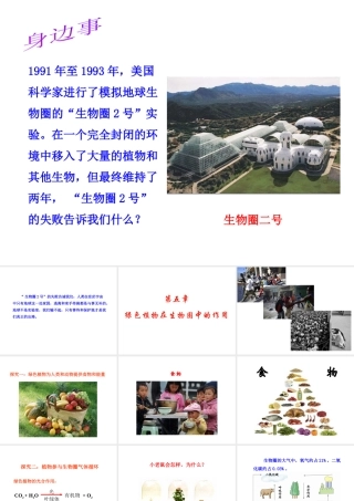 八年级生物上册 第三单元 第五章《绿色植物在生物圈中的作用》课件1 （新版）冀教版-（新版）冀教级上册生物课件