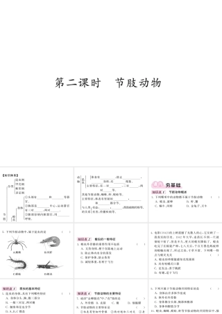 八年级生物上册 第五单元 第一章 第三节 软体动物和节肢动物（第2课时 节肢动物）习题课件 （新版）新人教版-（新版）新人教版初中八年级上册生物课件