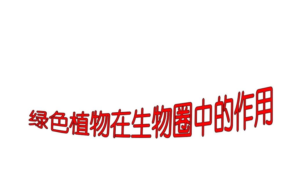 八年级生物上册 第三单元 第五章《绿色植物在生物圈中的作用》课件2 （新版）冀教版-（新版）冀教版初中八年级上册生物课件