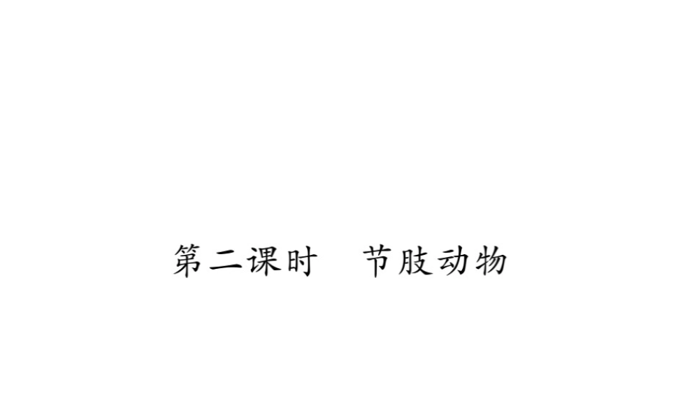 八年级生物上册 第五单元 第一章 第三节 软体动物和节肢动物（第2课时 节肢动物）习题课件 （新版）新人教版-（新版）新人教级上册生物课件