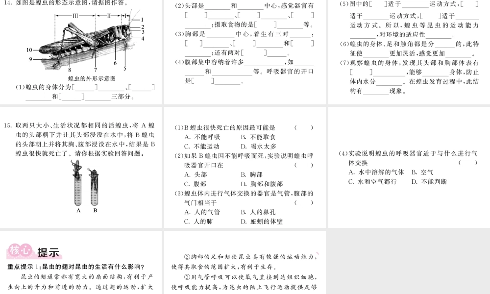 八年级生物上册 第五单元 第一章 第三节 软体动物和节肢动物（第2课时 节肢动物）习题课件 （新版）新人教版-（新版）新人教级上册生物课件