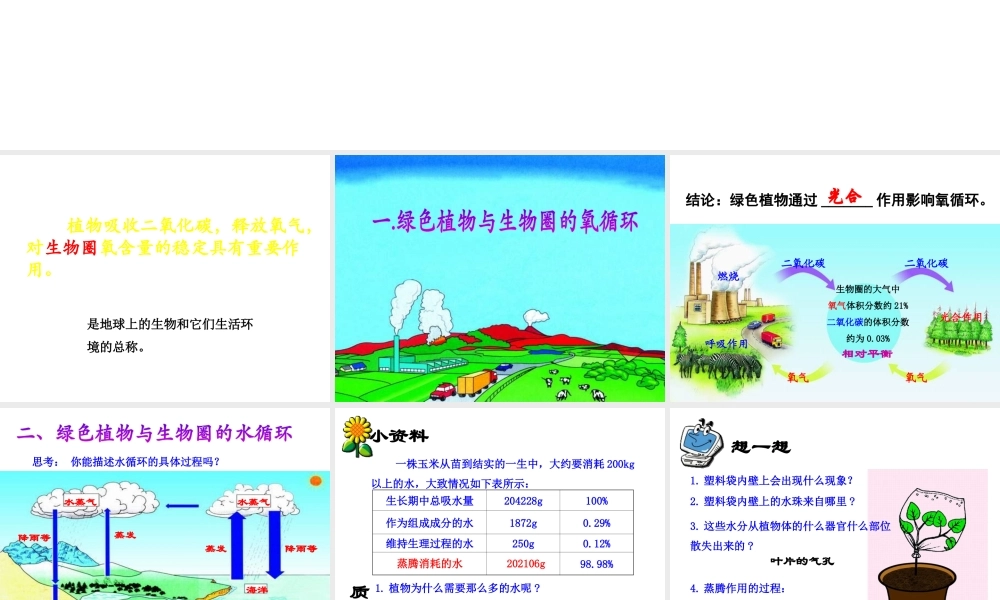 八年级生物上册 第三单元 第五章《绿色植物在生物圈中的作用》课件2 （新版）冀教版-（新版）冀教级上册生物课件