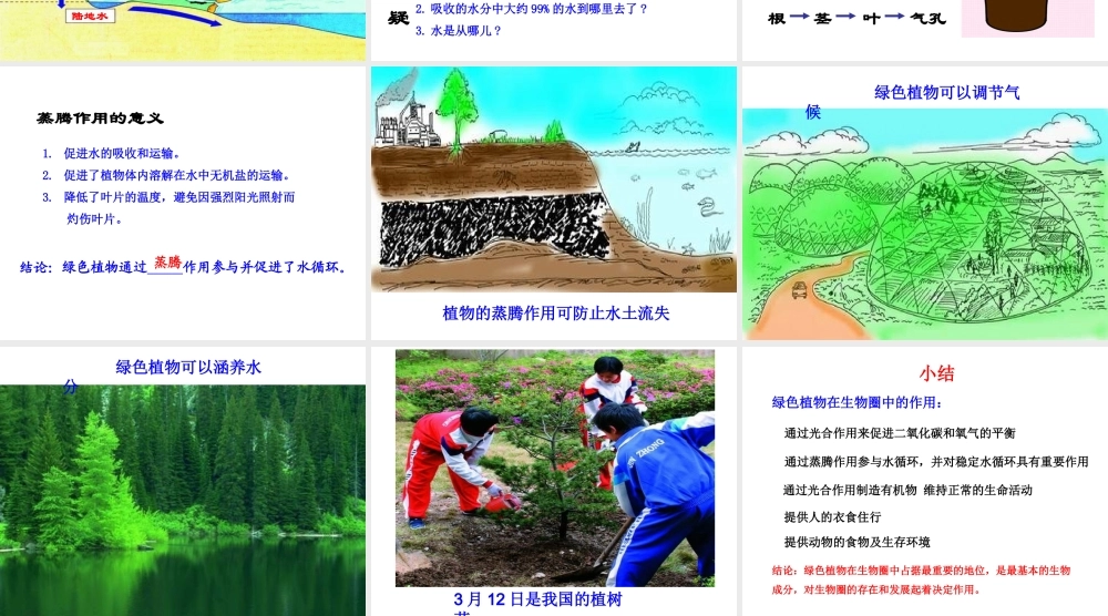 八年级生物上册 第三单元 第五章《绿色植物在生物圈中的作用》课件2 （新版）冀教版-（新版）冀教级上册生物课件