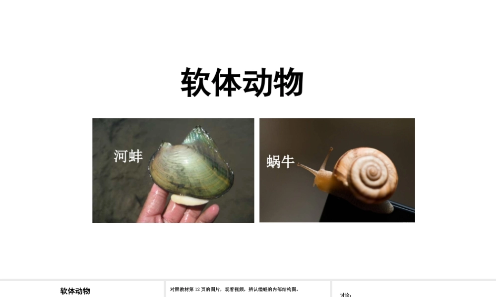 八年级生物上册 第五单元 第一章 第三节 软体动物和节肢动物《软体动物》课件 （新版）新人教版