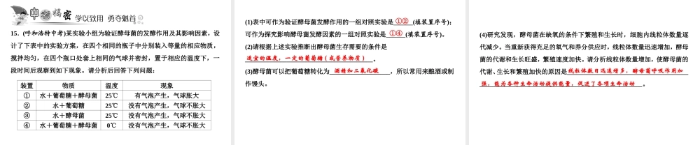 八年级生物上册 第5单元 第4章 第5节 人类对细菌和真菌的利用（第1课时 细菌、真菌与食品的制作与保存）习题课件 （新版）新人教版-（新版）新人教版初中八年级上册生物课件