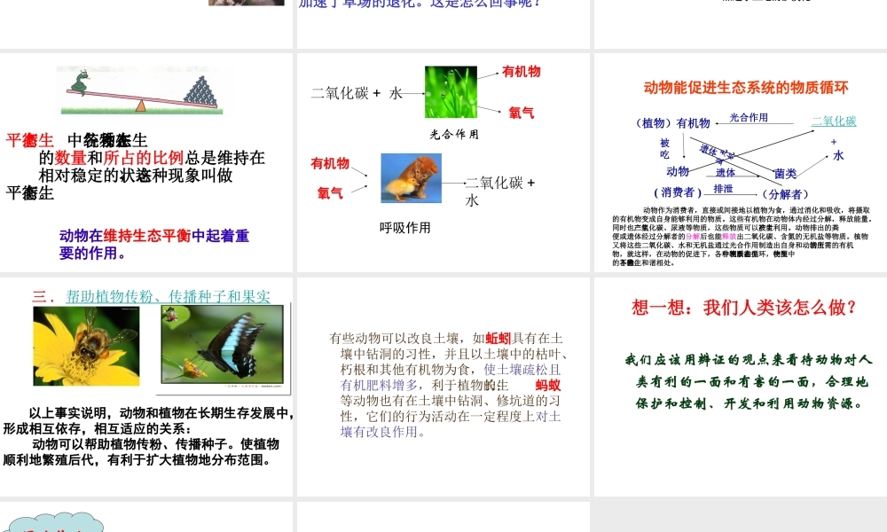 八年级生物上册 第三节 动物在自然界中的作用课件 新人教版