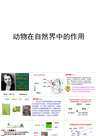 八年级生物上册 第三节 动物在自然界中的作用课件 新人教版