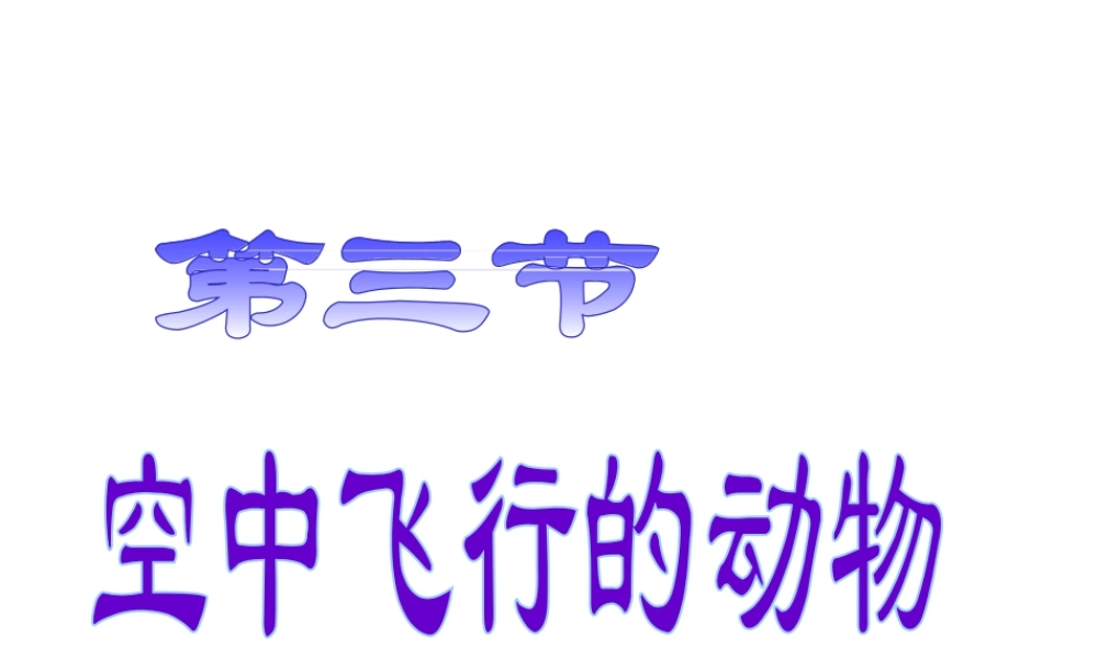 八年级生物上册 第三节 空中飞行的动物（鸟）课件 人教新课标版