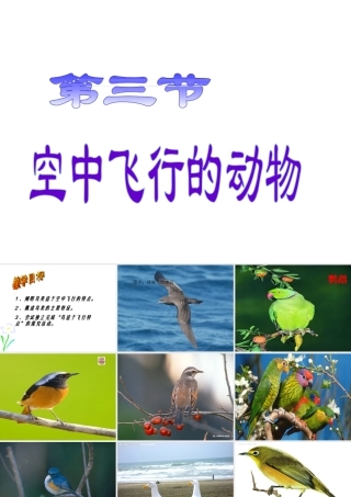 八年级生物上册 第三节 空中飞行的动物（鸟）课件 人教新课标版