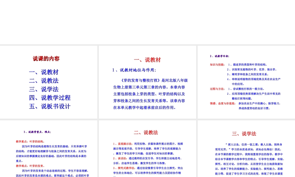 八年级生物上册 第三单元 第一章 第3节《芽的发育》说课课件 （新版）冀教版-（新版）冀教版初中八年级上册生物课件