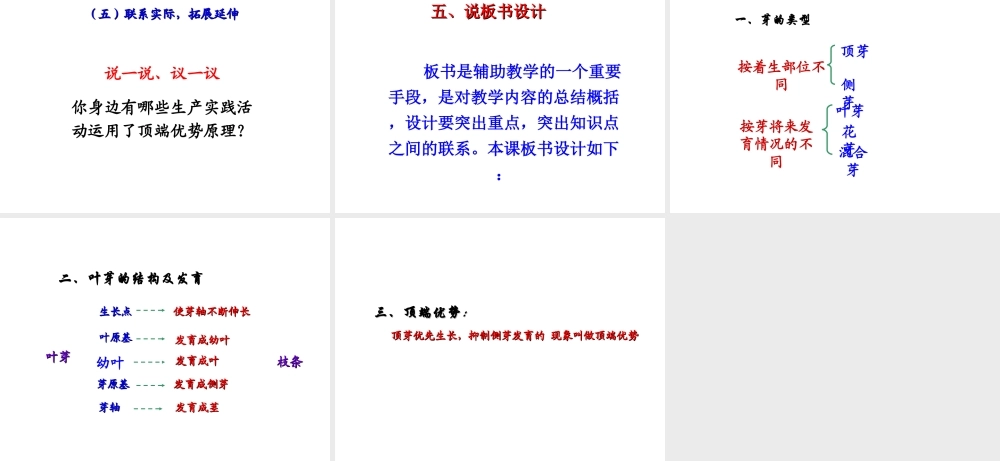 八年级生物上册 第三单元 第一章 第3节《芽的发育》说课课件 （新版）冀教版-（新版）冀教版初中八年级上册生物课件