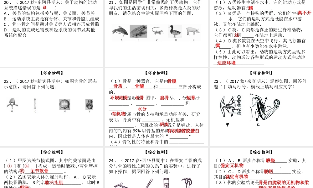 八年级生物上册 第五单元 第15章 动物的运动综合检测课件 （新版）北师大版-（新版）北师大版初中八年级上册生物课件