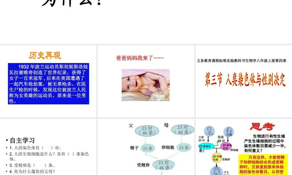 八年级生物上册 第三节 人类染色体与性别决定课件 （新版）济南版