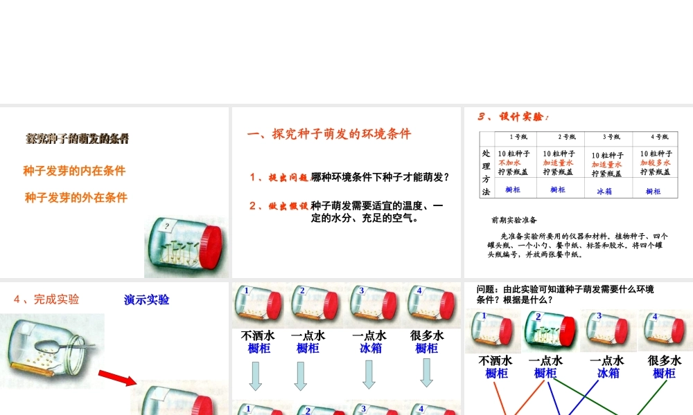 八年级生物上册 第三单元 第一章 第二节 种子萌发的条件课件 冀少版-人教版初中八年级上册生物课件