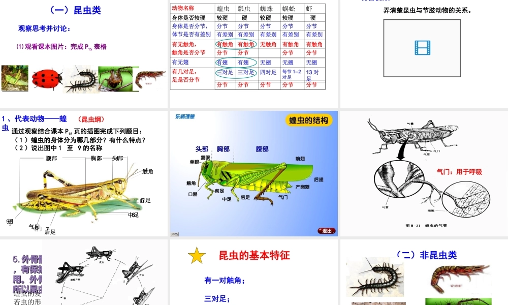 八年级生物上册 第三节 软体动物和节肢动物课件 （新版）新人教版