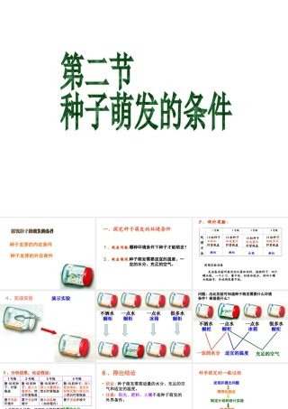 八年级生物上册 第三单元 第一章 第二节 种子萌发的条件课件 冀少版-人教级上册生物课件