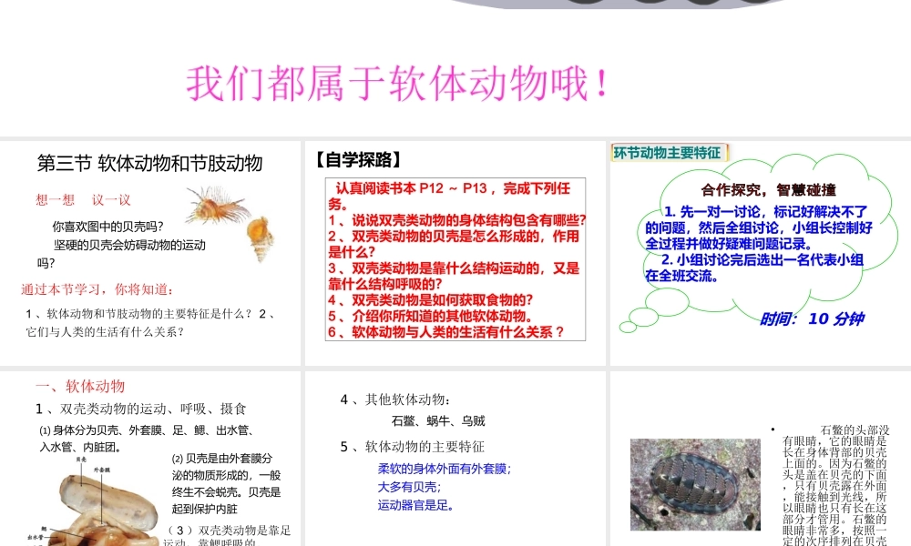 八年级生物上册 第三节 软体动物和节肢动物课件 新人教版