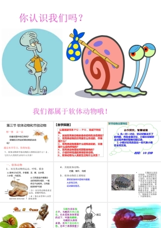 八年级生物上册 第三节 软体动物和节肢动物课件 新人教版