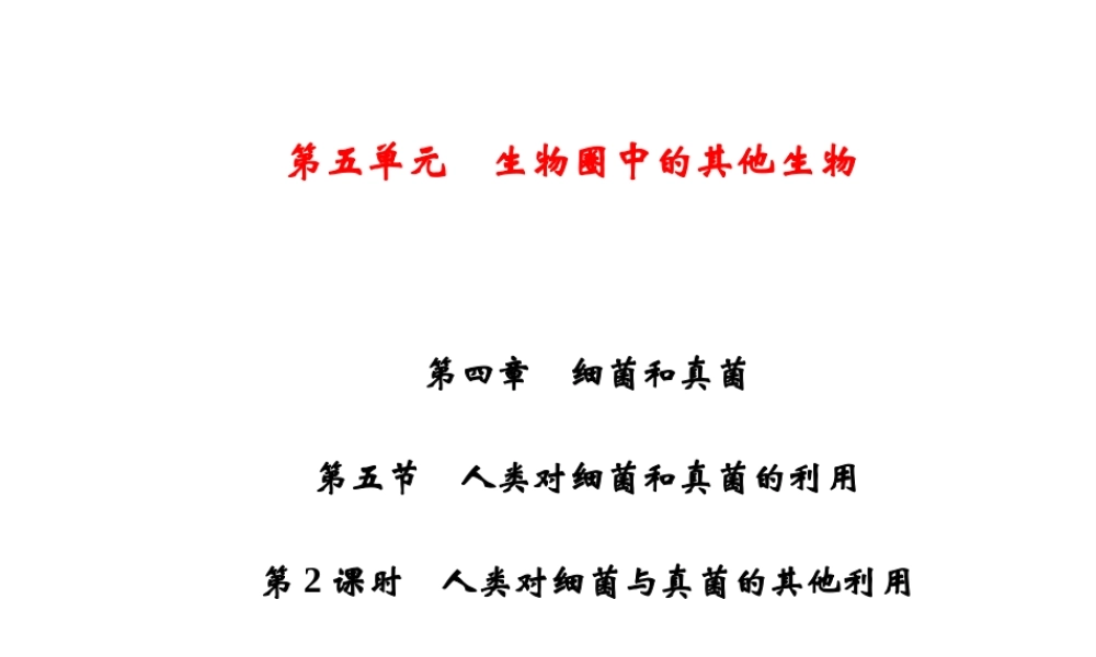 八年级生物上册 第5单元 第4章 第5节 人类对细菌和真菌的利用（第2课时 人类对细菌与真菌的其他利用）习题课件 （新版）新人教版-（新版）新人教级上册生物课件