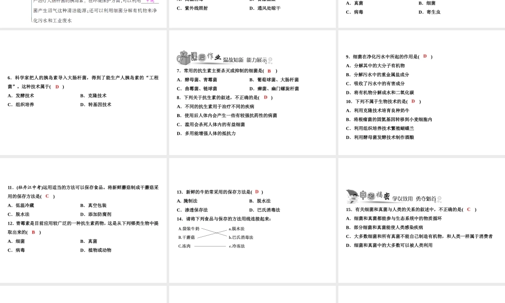 八年级生物上册 第5单元 第4章 第5节 人类对细菌和真菌的利用（第2课时 人类对细菌与真菌的其他利用）习题课件 （新版）新人教版-（新版）新人教级上册生物课件