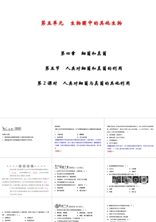 八年级生物上册 第5单元 第4章 第5节 人类对细菌和真菌的利用（第2课时 人类对细菌与真菌的其他利用）习题课件 （新版）新人教版-（新版）新人教级上册生物课件