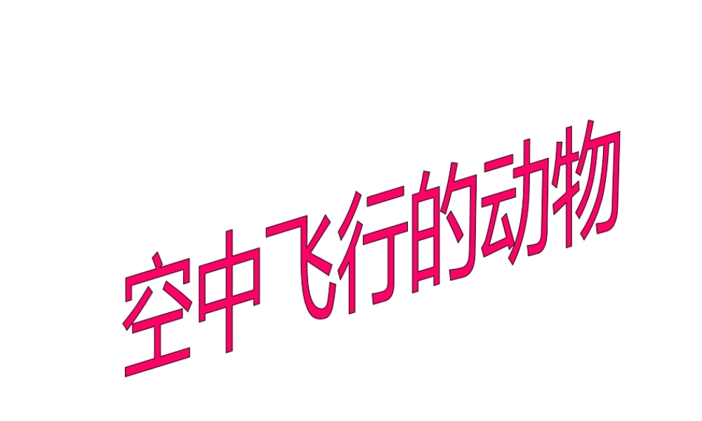 八年级生物上册 第三节空中飞行的动物 课件 人教新课标版