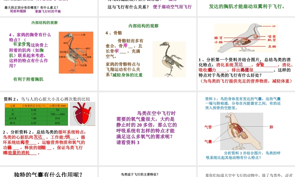 八年级生物上册 第三节空中飞行的动物 课件 人教新课标版
