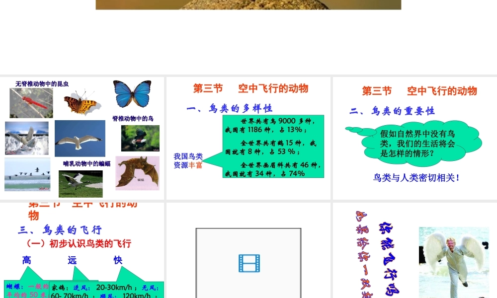 八年级生物上册 第三节空中飞行的动物课件 人教新课标版
