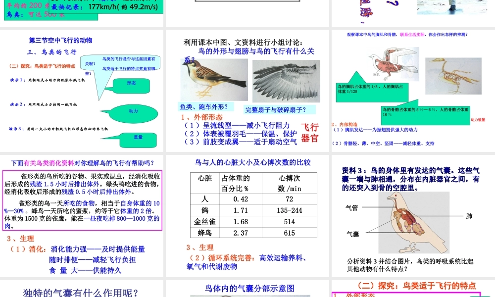 八年级生物上册 第三节空中飞行的动物课件 人教新课标版