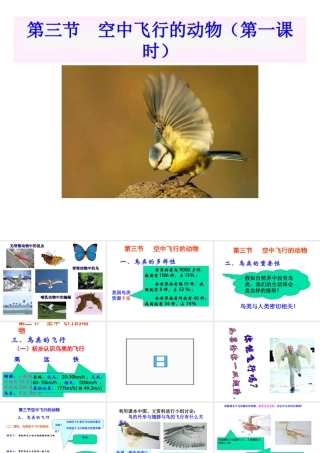 八年级生物上册 第三节空中飞行的动物课件 人教新课标版