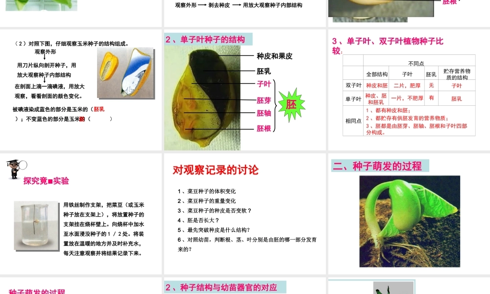 八年级生物上册 第三单元 第一章 第一节 种子萌发的过程课件 （新版）冀教版-（新版）冀教版初中八年级上册生物课件