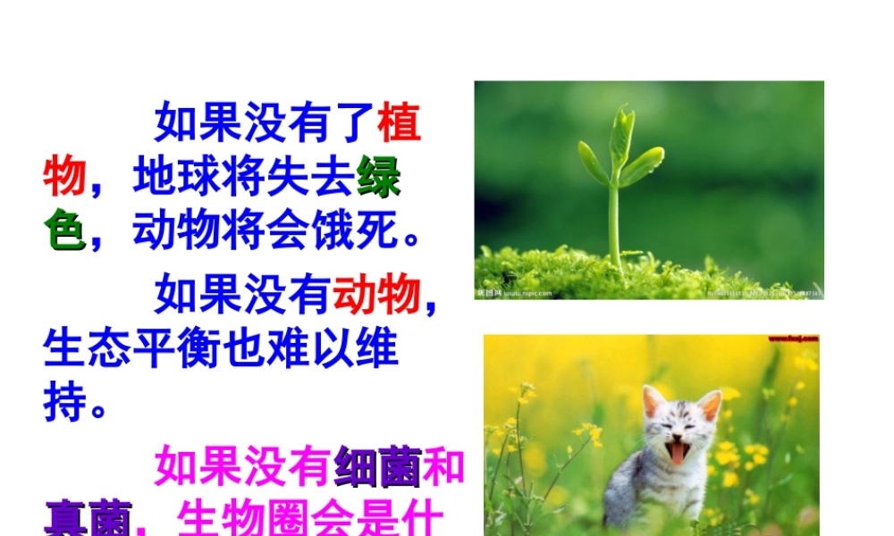 八年级生物上册 第5单元 第4章 微生物在生物圈中的作用课件 （新版）冀教版-（新版）冀教版初中八年级上册生物课件