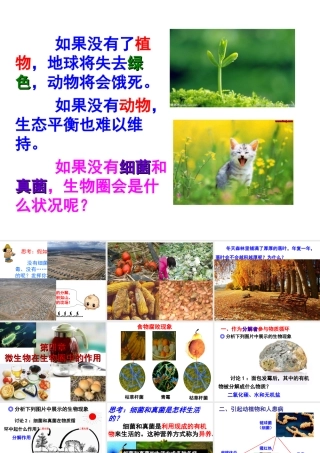 八年级生物上册 第5单元 第4章 微生物在生物圈中的作用课件 （新版）冀教版-（新版）冀教版初中八年级上册生物课件