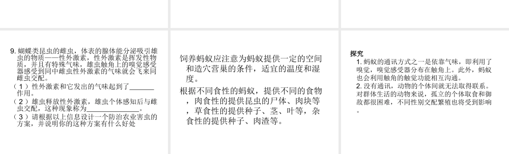 八年级生物上册 第三节社会行为课件 人教新课标版