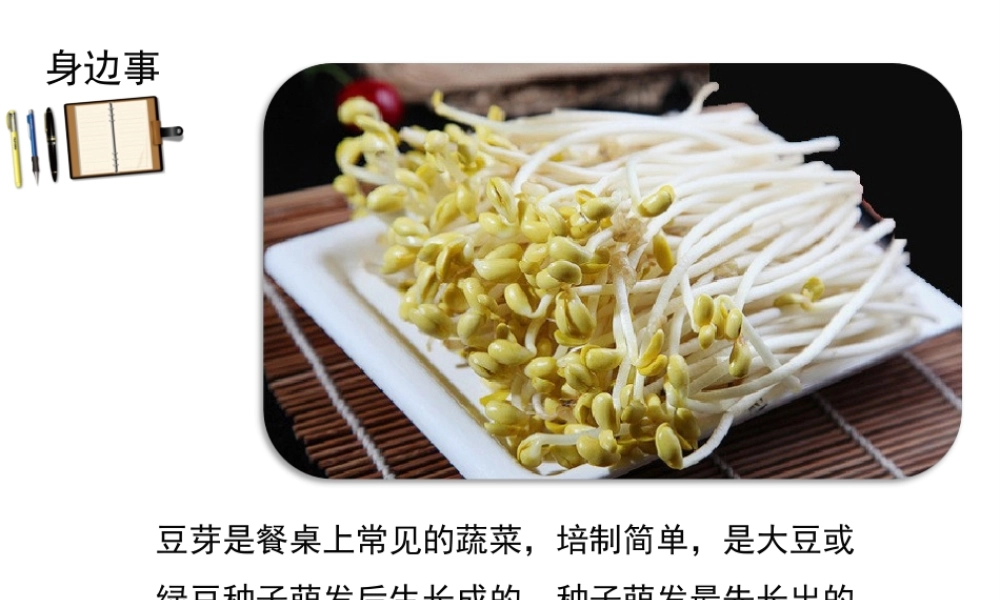 八年级生物上册 第三单元 第一章 第一节 种子萌发的过程课件 （新版）冀教版-（新版）冀教级上册生物课件