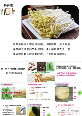八年级生物上册 第三单元 第一章 第一节 种子萌发的过程课件 （新版）冀教版-（新版）冀教级上册生物课件