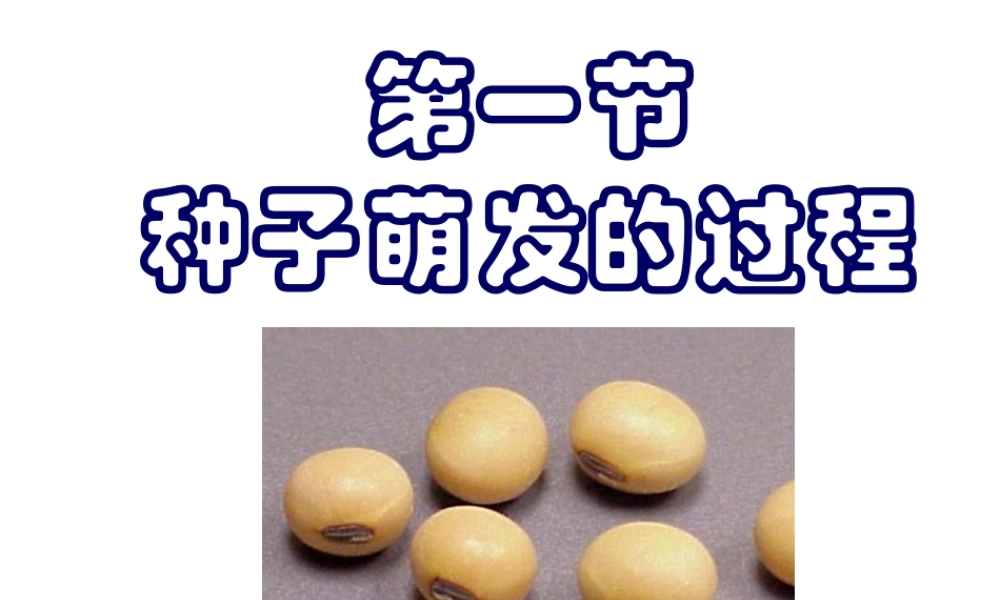 八年级生物上册 第三单元 第一章 第一节 种子萌发的过程课件 冀少版-人教版初中八年级上册生物课件