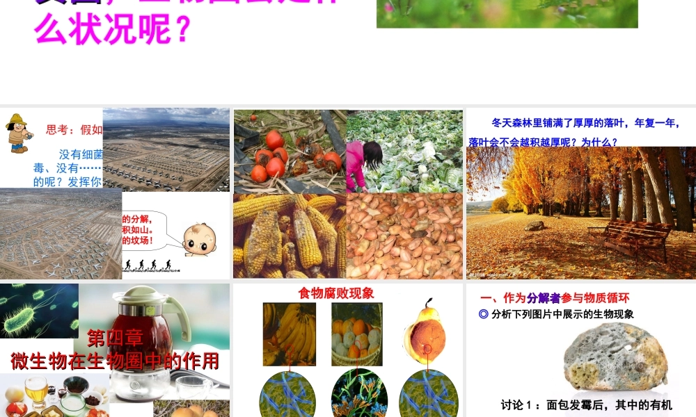 八年级生物上册 第5单元 第4章 微生物在生物圈中的作用课件 （新版）冀教版-（新版）冀教级上册生物课件