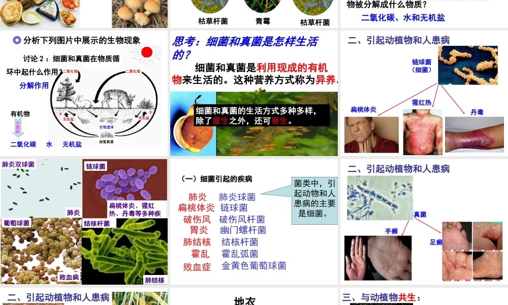八年级生物上册 第5单元 第4章 微生物在生物圈中的作用课件 （新版）冀教版-（新版）冀教级上册生物课件