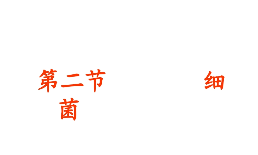 八年级生物上册 第5单元 第4章 细菌和真菌 第二节 细菌课件1 新人教版