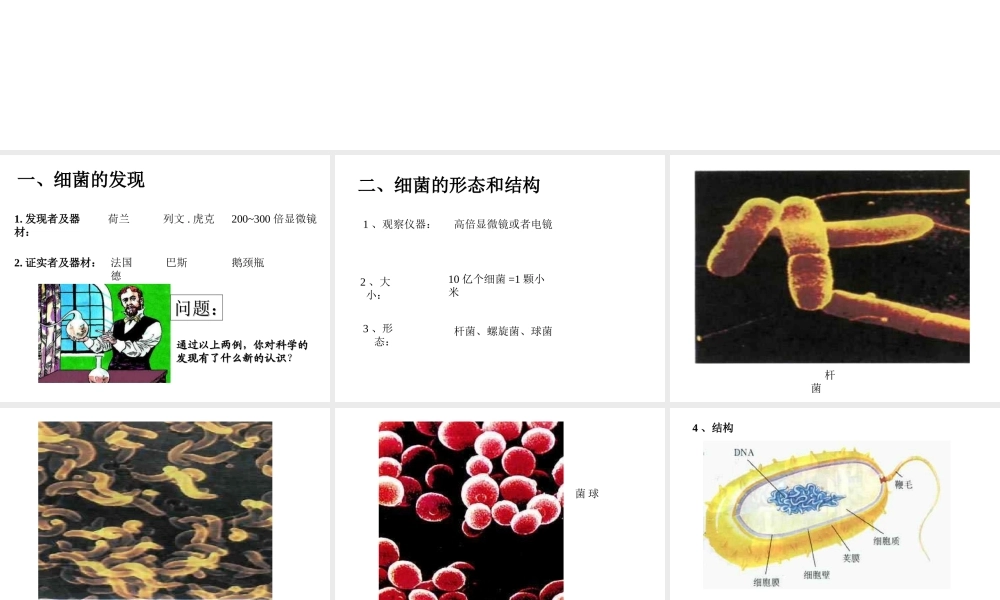 八年级生物上册 第5单元 第4章 细菌和真菌 第二节 细菌课件1 新人教版