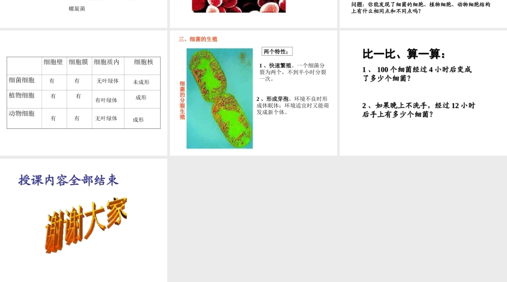 八年级生物上册 第5单元 第4章 细菌和真菌 第二节 细菌课件1 新人教版