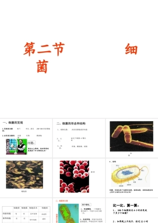 八年级生物上册 第5单元 第4章 细菌和真菌 第二节 细菌课件1 新人教版