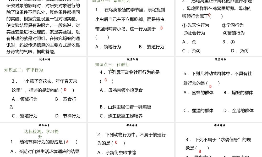 八年级生物上册 第五单元 第16章 第2节 动物行为的主要类型（第2课时 繁殖、节律、社群行为）习题课件 （新版）北师大版-（新版）北师大级上册生物课件